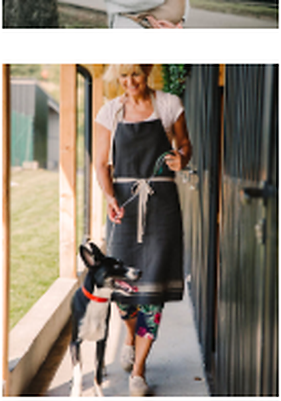 Woman walking a dog as part of animal-care responsibility within a structured sober living routine